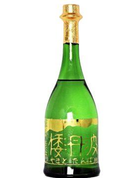 倭丹波 山波
