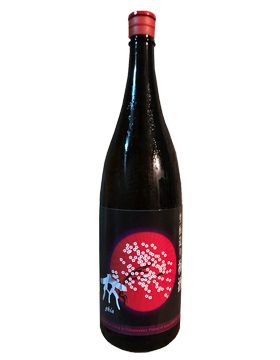 生酛梅酒2019